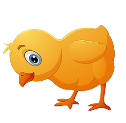 Chick Rearing